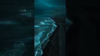 Daylight - David Kushner | Lyrics | Aesthetic | English Song 🌸 🌸