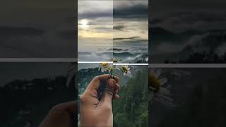 Before After Photo Edit