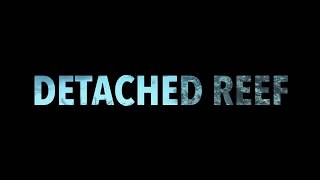 Spirit of Freedom - Detached Reef