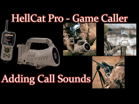 Adding Call Sounds to the FoxPro Hellcat Digital Game Caller