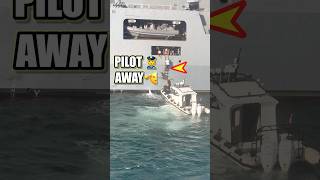 Ukrainian NAVY ship Pilot Off boarding. #shorts #howtojoinmerchantnavy #boat #crewshiplife