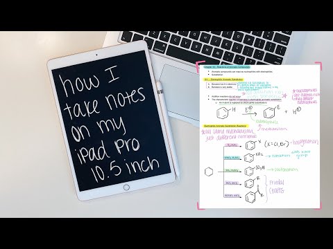 iPAD NOTES // how I take notes on my iPad Pro as a pre-healthcare student!
