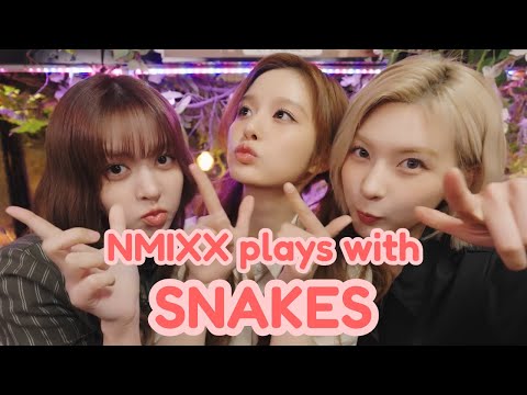 NMIXX goes to the zoo ft. Britney Spears