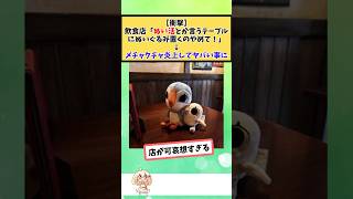 飲食店「ぬい活とか言うテーブルにぬいぐるみ置くのやめて！」メチャクチャ炎上してヤバい事に #2chまとめ