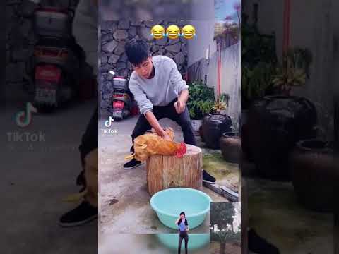 Killing Chiken is too Scary #tiktok #shorts #tiktoktrend #shortsvideo #shortvideo #funny