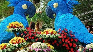 flower art #flowers#art #animalart #flowerartwork #beutifulflower #shorts
