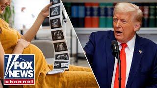 Author warns the trend of dropping fertility rates runs ‘much deeper’ than this