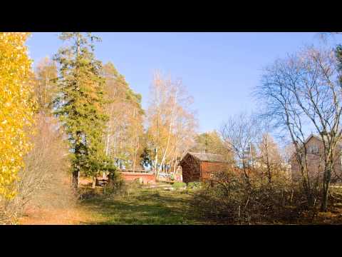 Clip graded with Apple Aperture