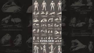 The Evolution of Football A Global Journey #historyoffootball  #footballevolution #shorts