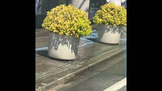 アノーラみて思い出したおじさんが大変な映画3本