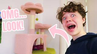 Surprising My Cat (and Family) With a Giant Cat Tower!
