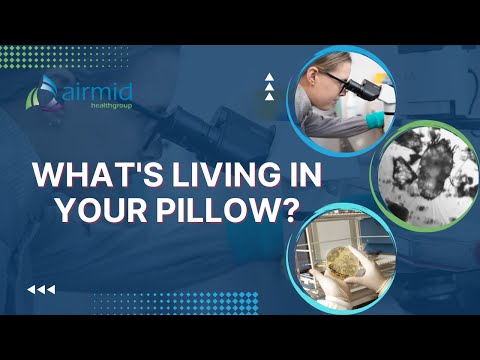 What's Living In Your Pillow?