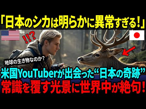 【海外の反応】「日本のシカはまるで人間のようだ…」日本のシカを撮影しに来たアメリカ人が絶句した“異常すぎる光景”とは？