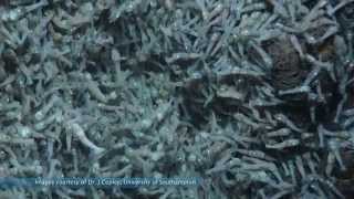 Ocean and Earth Science Southampton, Research Excellence