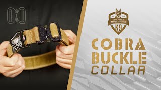 Cobra Buckle Dog Collar - 4000lb Weight Tested