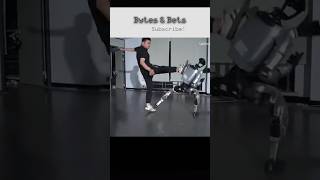 You Kicked a Robot?! 😳#Unitree #HumanoidRobot #RobotProgress #AIrobots #Robotics #TechShorts