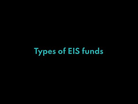 EXPLAINER: Types of EIS funds
