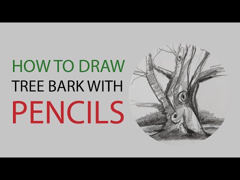 How to draw tree bark with pencils