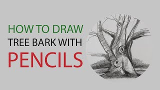 How to draw tree bark with pencils