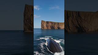 🌊 "When nature flexes its power... WHOA! 🐋💥 #WhaleSighting #OceanMagic #Shorts"#trending #viralshort