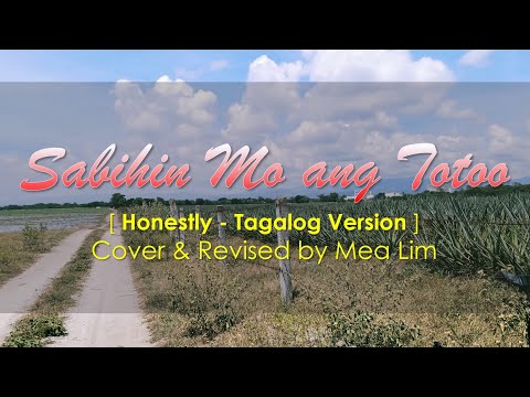 Sabihin Mo ang Totoo [ Honestly - Tagalog Version ] Lyric Video