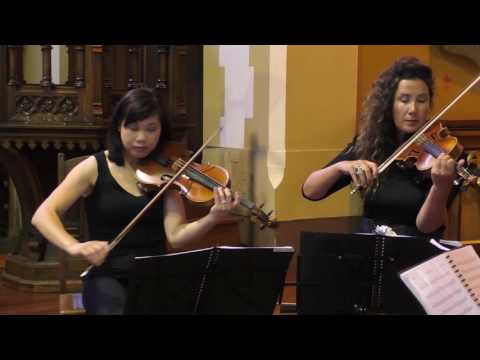 Beautiful Day (U2) by Amicus Strings