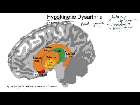 Hypokinetic Dysarthria - examples and tutorial