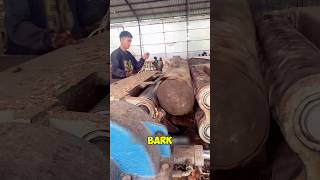 How Wood Waste Becomes Strong Boards | Indonesian Factory Process":#Woodworking #FactoryProcess