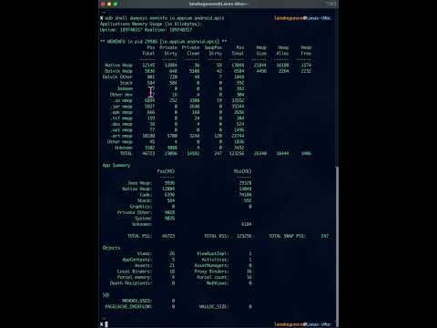adb shell dumpsys meminfo