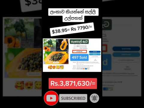 වේලපු පැපොල් ඇට යවලා සල්ලි හොයමු | Best Selling Directshipping item on ebay 2021 #shorts 05