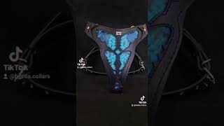 Bestia Morelia Python Dog Harness