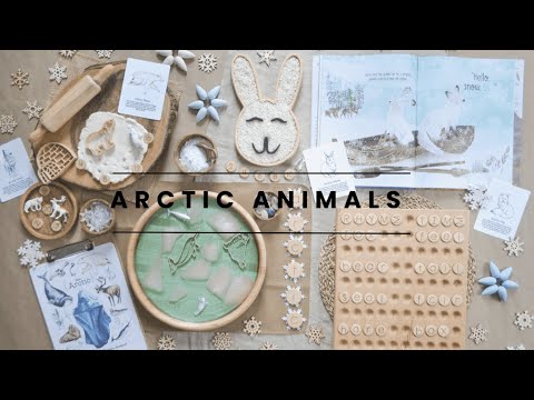 Arctic Animals Homeschool Lesson