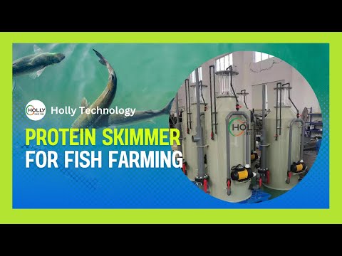 Protein Skimmer for Fish Farming | Essential Filtration for Clean Water
