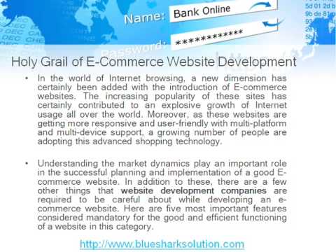 Ecommerce web solutions, website development companies
