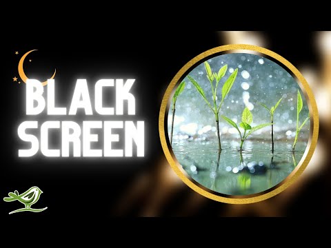 [NO ADS] Raindrops | Piano Music & Rain for Sleep with Black Screen by Peder B. Helland