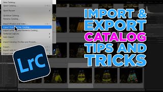Working with Multiple Lightroom Classic Catalogs using the Import and Export Catalog Features.
