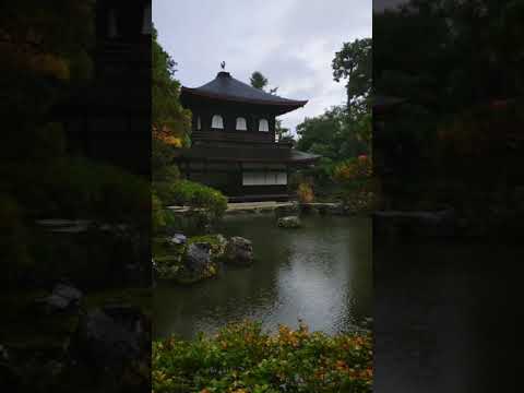 InShot 20181110 083328845 Japan1