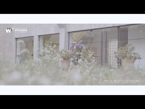 2022년 청담동 화이트 성형외과 본편