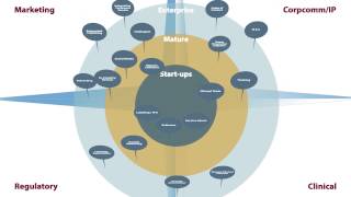 EnCompass Solutions - Cost Efficient Content Automation