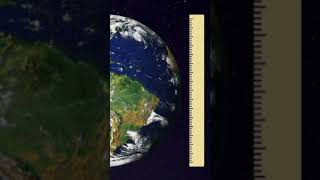 Relay Race Across the Globe #funfacts #acrosstheglobe