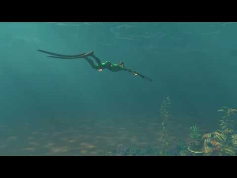 Freediving Hunter "Rookie Cove" Level