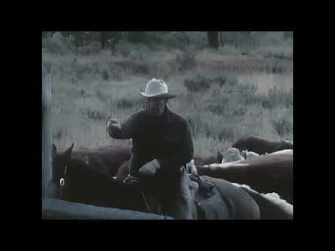 The state of the beef industry in 1960s America - A.I.-Restored  – [ 4K60FPS | Audio Enhanced ]