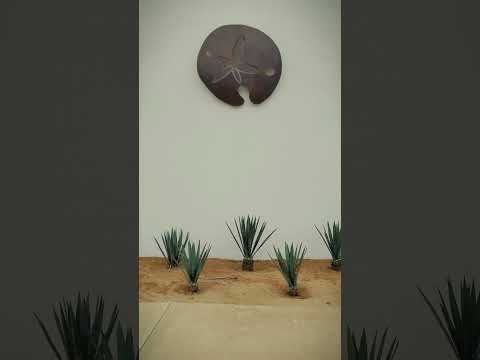 #WesAnderson Dramaris