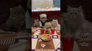 My Family Eid Outfit 💖 #short #viral #trending #funny #cat #funnycat #kitten #cute #memes #meow