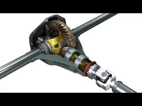 Rear Differential