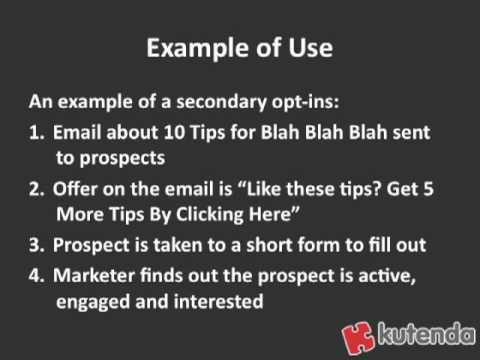 Email Marketing Tips: Using Secondary Email Opt-Ins