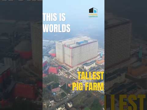China’s 26‑Storey ‘PIG FARM’: The $600M Skyscraper Raising 1.2M Pigs a Year #shorts #ytshorts