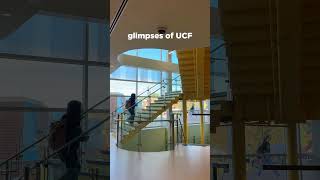 we can't help but 💛 this little life at UCF