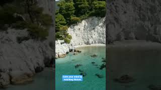 Calm your Mind By Watching Nature #nature #beaches #travel #WebCoding @WebCoding