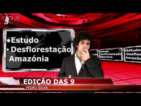 A Desflorestação na Amazónia